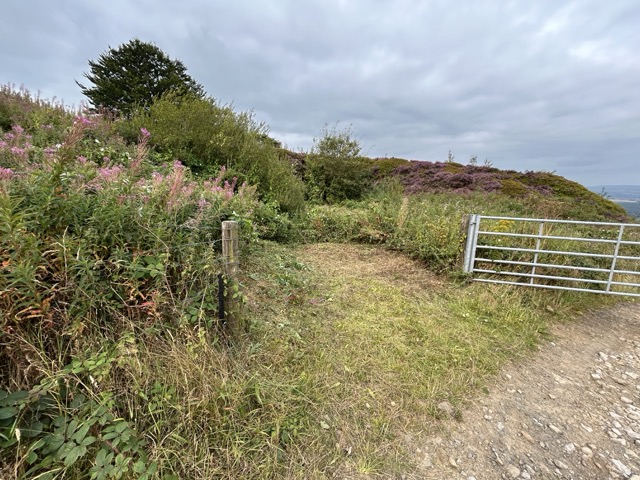 Recent view of the land at Scaly Gate, near Holmfirth.
